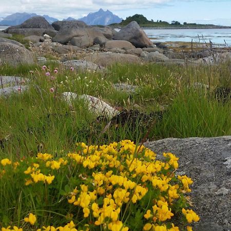 Lofotbo Villa Stamsund Buitenkant foto