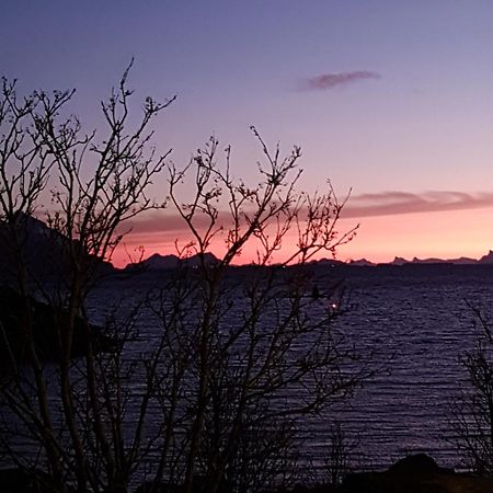 Lofotbo Villa Stamsund Buitenkant foto