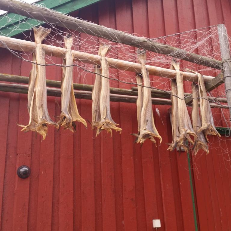Lofotbo Villa Stamsund Buitenkant foto
