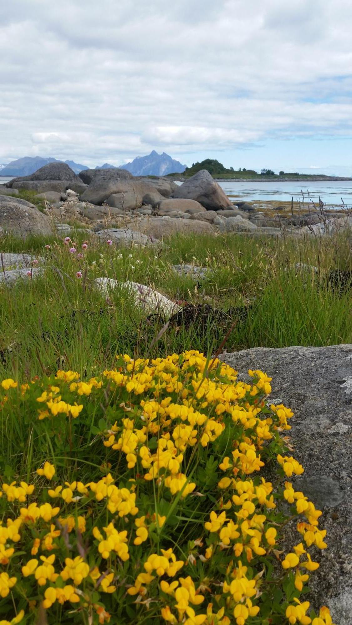 Lofotbo Villa Stamsund Buitenkant foto